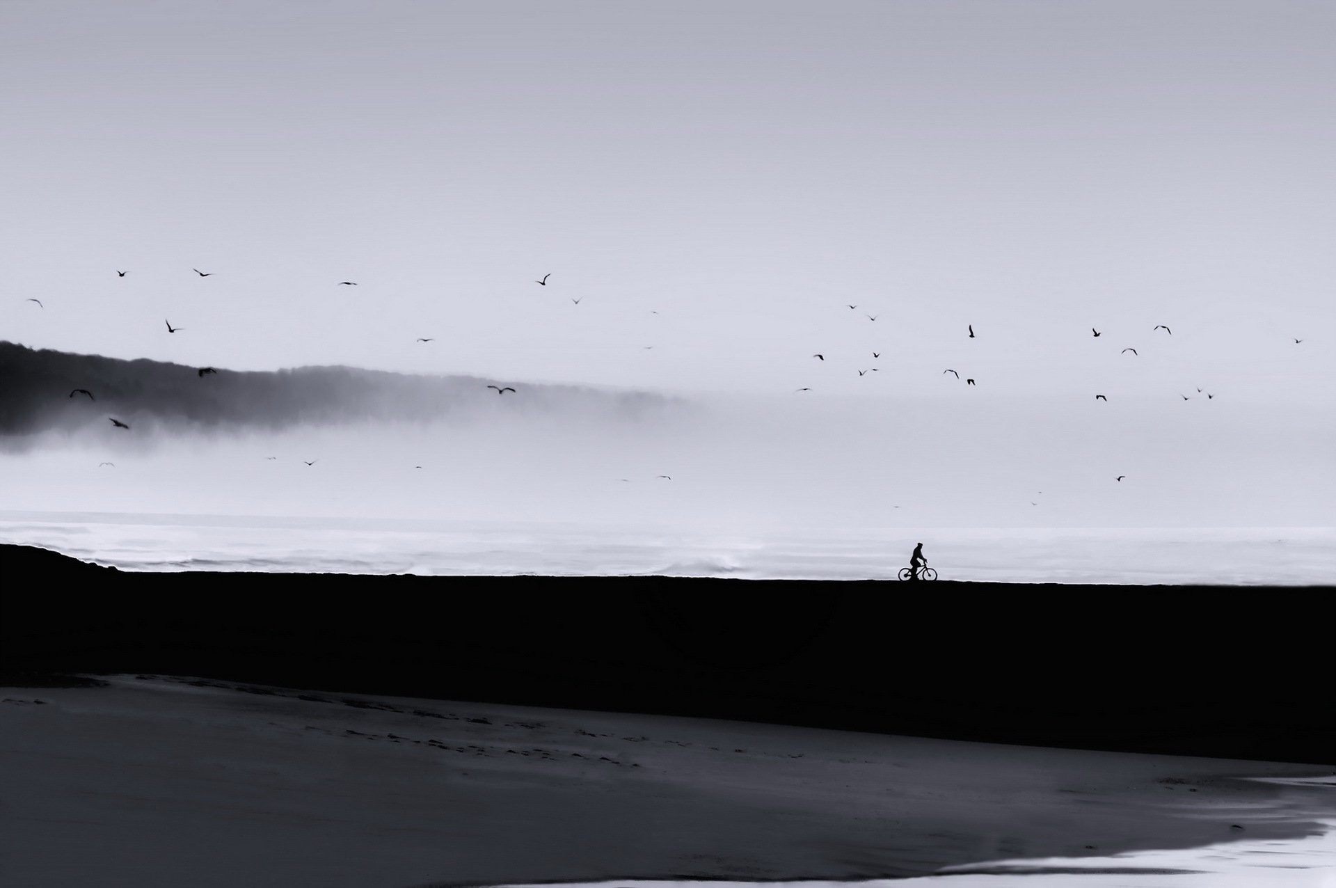 hombre mar aves niebla paisaje minimalismo