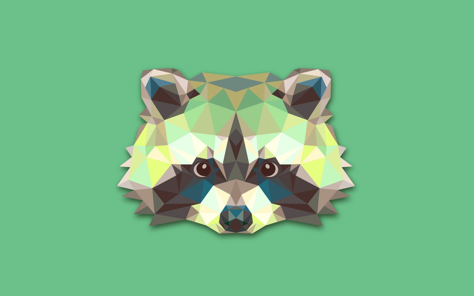 raccoon abstract minimalism