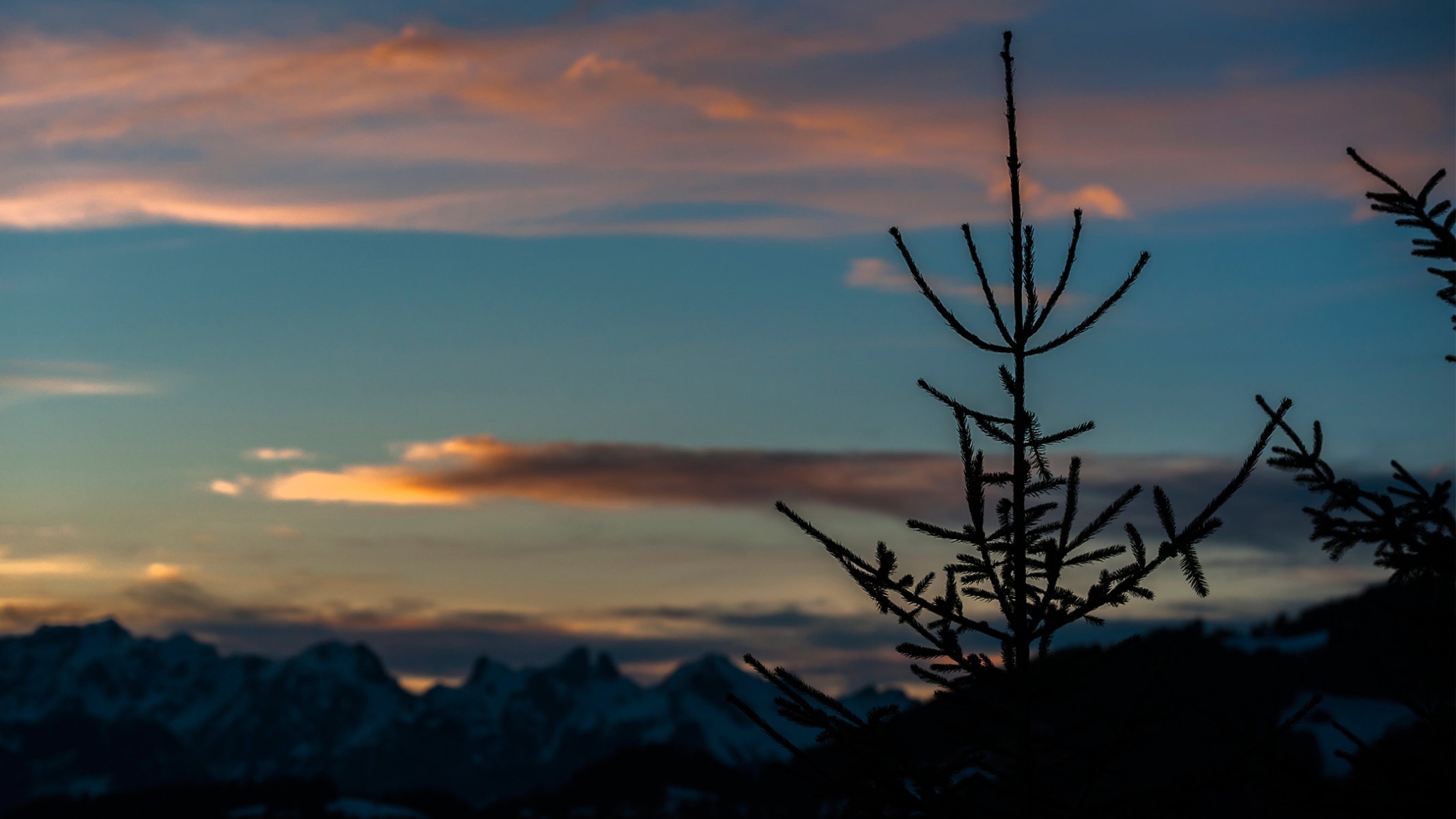 natur berge schweiz