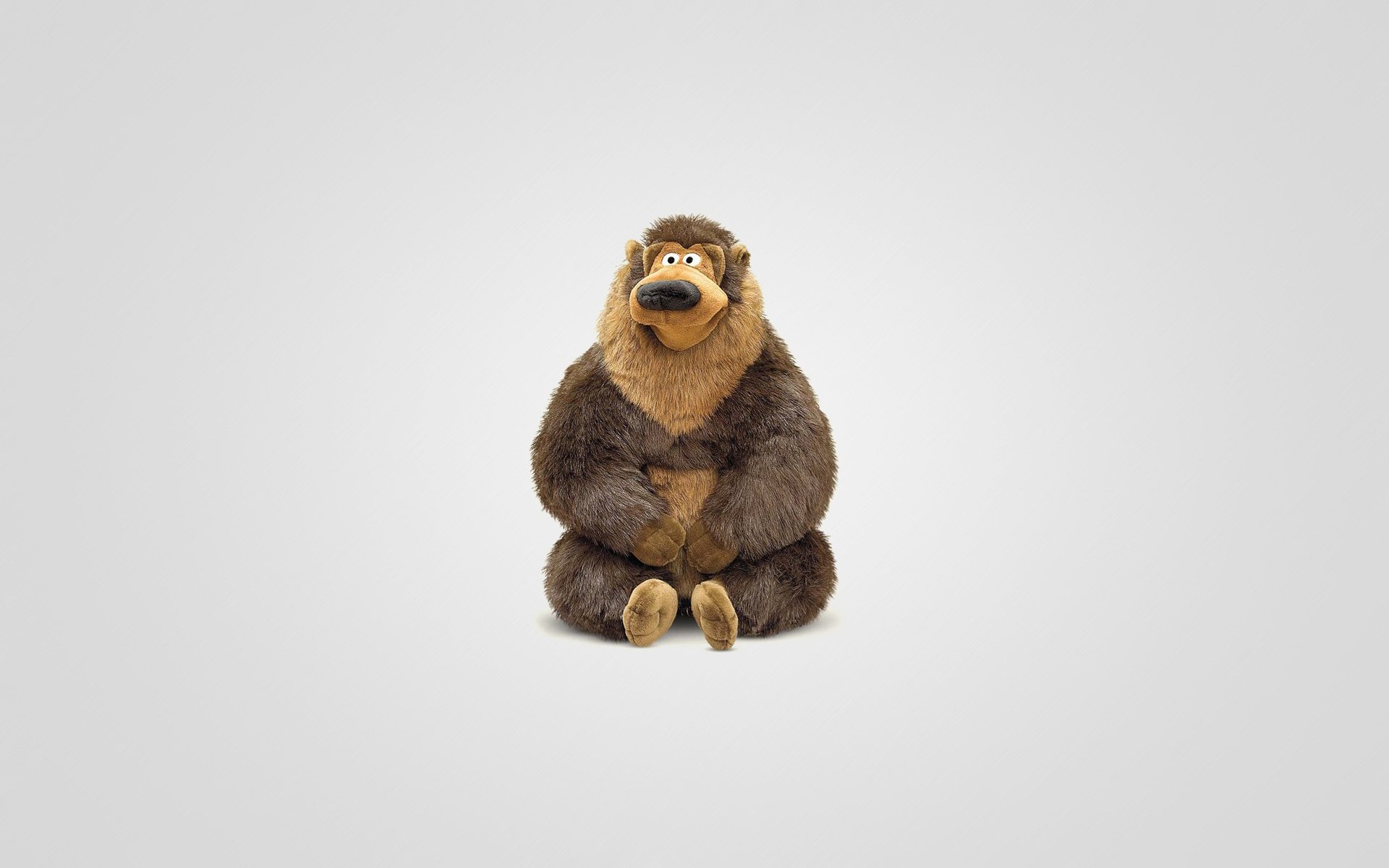 bear toys sitting animals light background