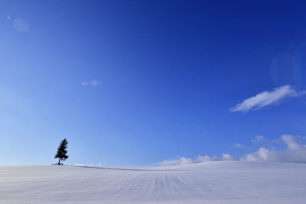 Paisaje minimalista de invierno con árbol