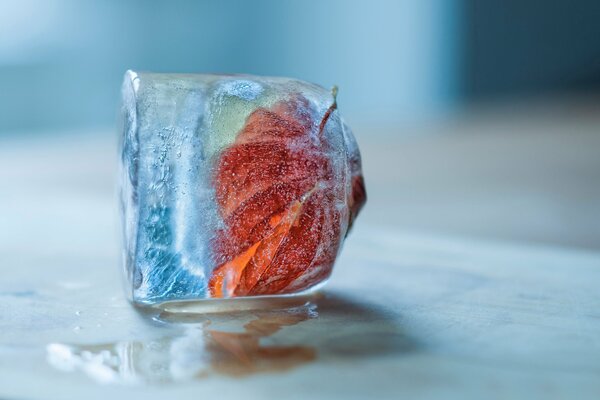 Something frozen in an ice cube