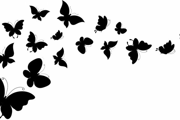 Siluetas de mariposas voladoras sobre fondo blanco