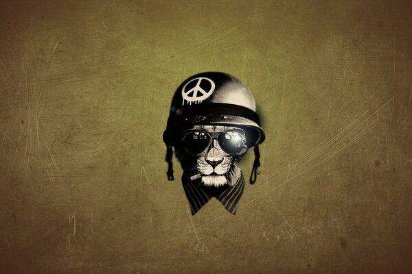 A cool lion in a helmet and glasses