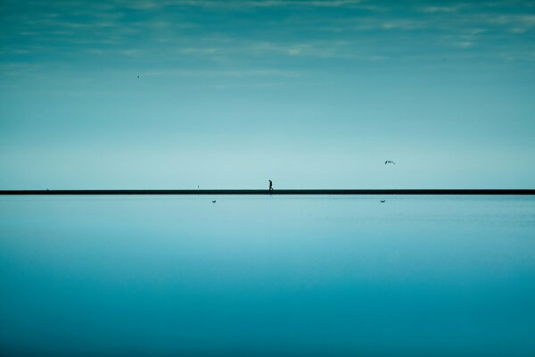 Samotny człowiek z ptakiem na horyzoncie morza