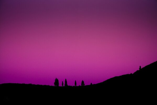 Mountains and trees on the background of the glow