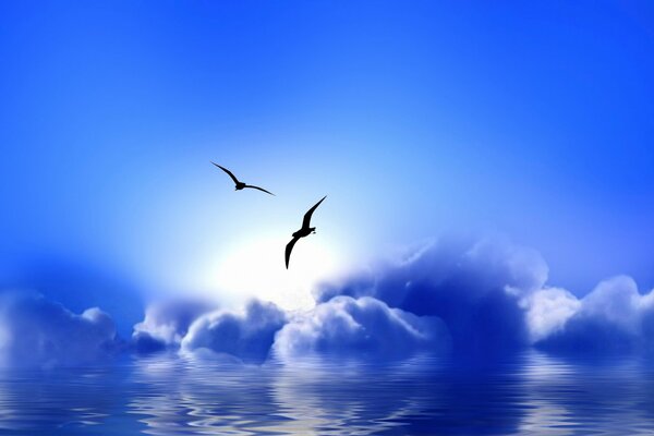 Seagulls on the background of clouds and water