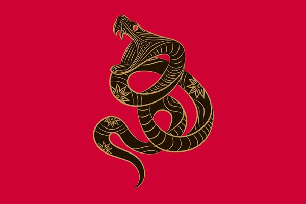 Rappresentazione grafica di un serpente su uno sfondo luminoso