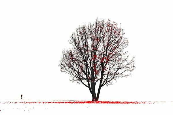 Ein Bild eines Baumes mit roten Blättern mit einer nebeneinander stehenden Silhouette eines Mannes
