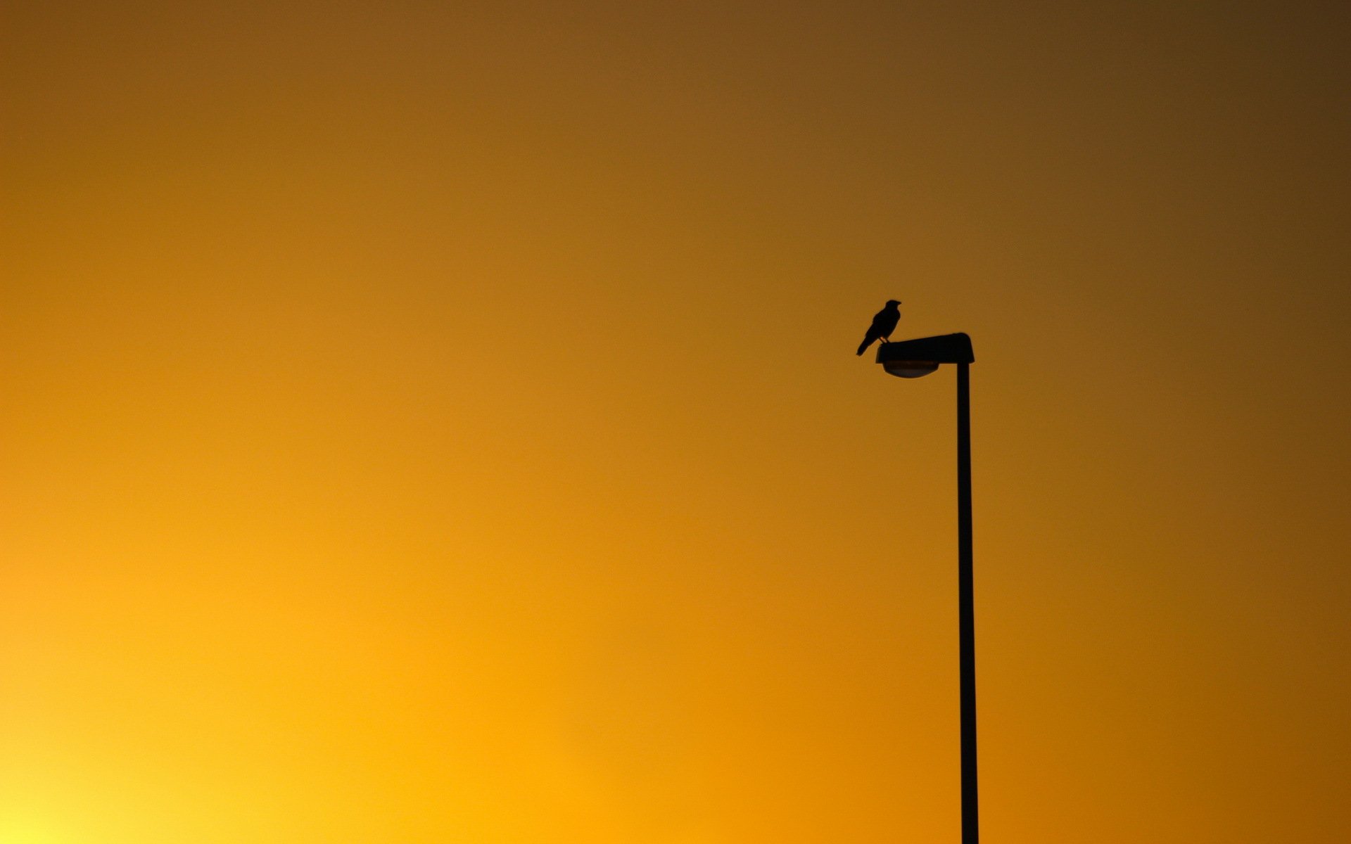 uccello tramonto minimalismo