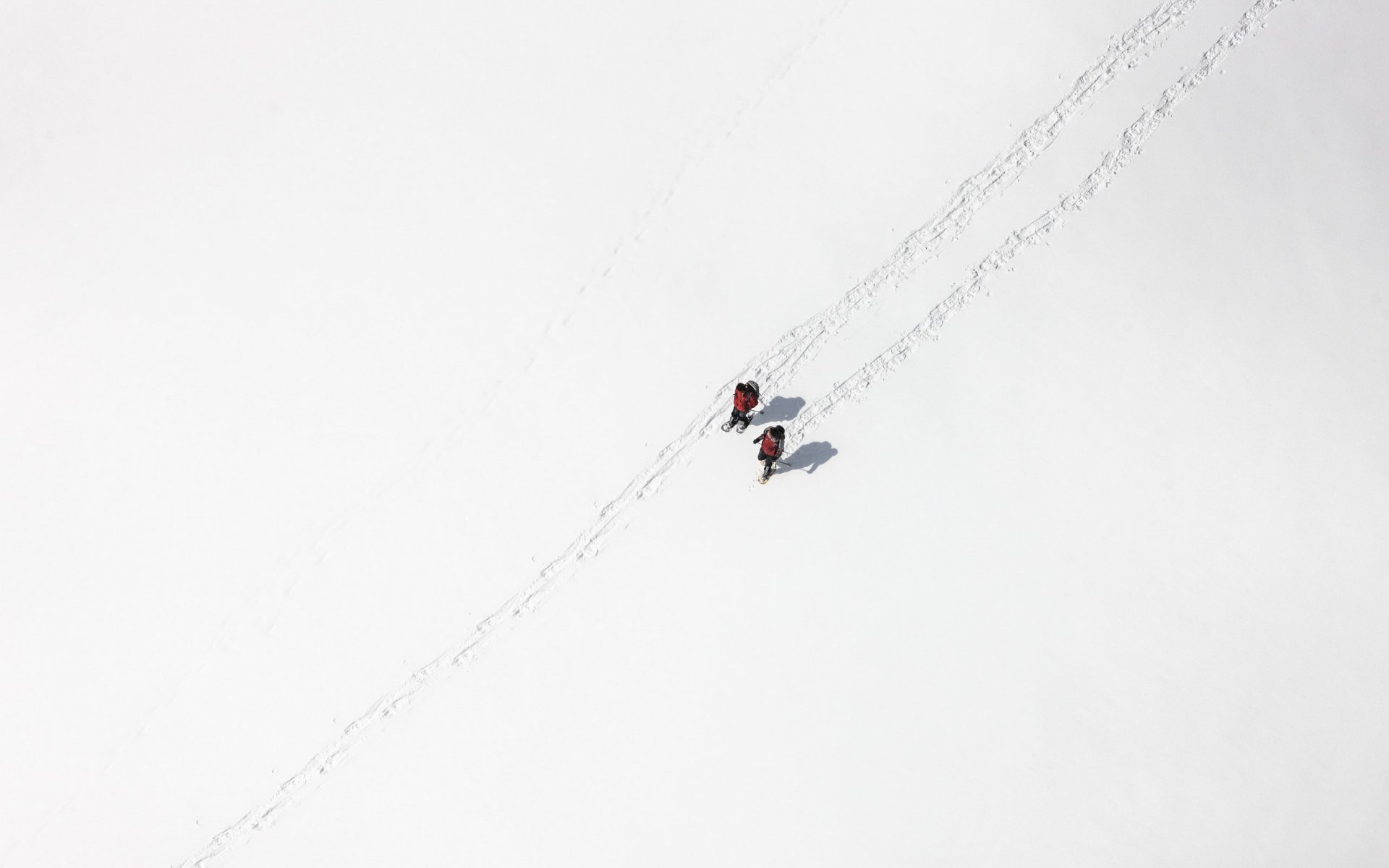 campo nieve gente minimalismo