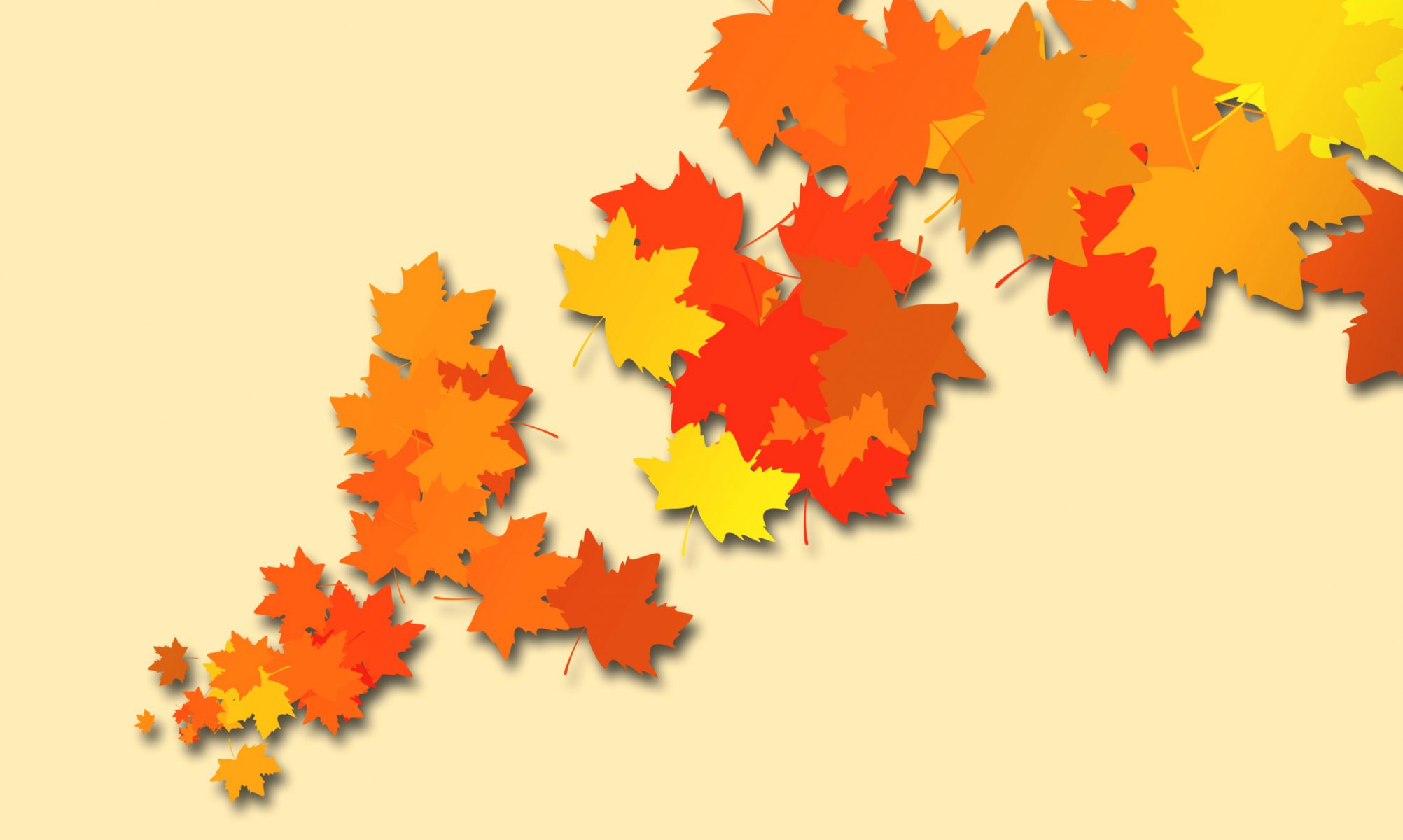 leaves autumn maple flowers vector