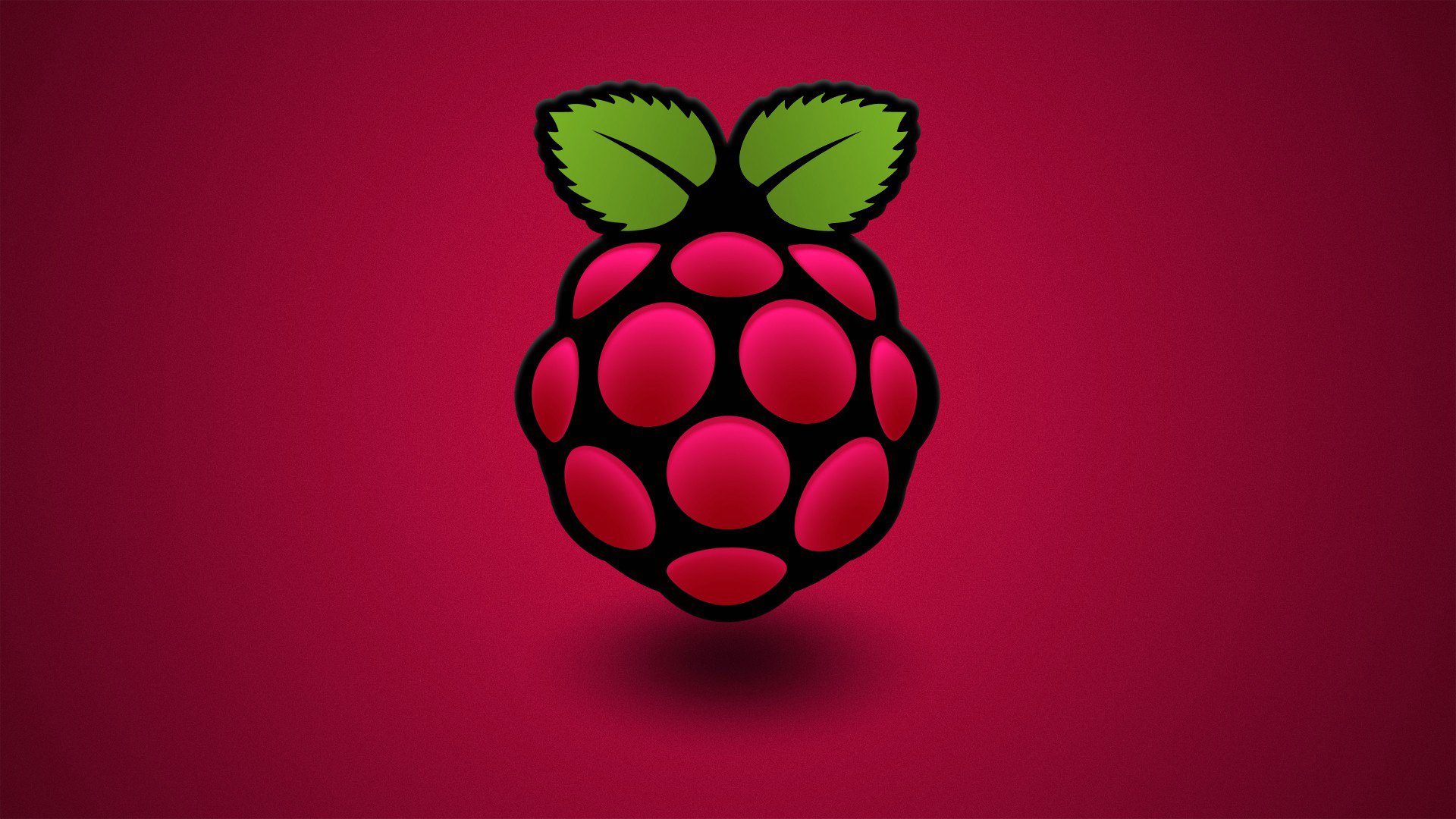 baie framboise feuille couleur ordinateur raspberry pi