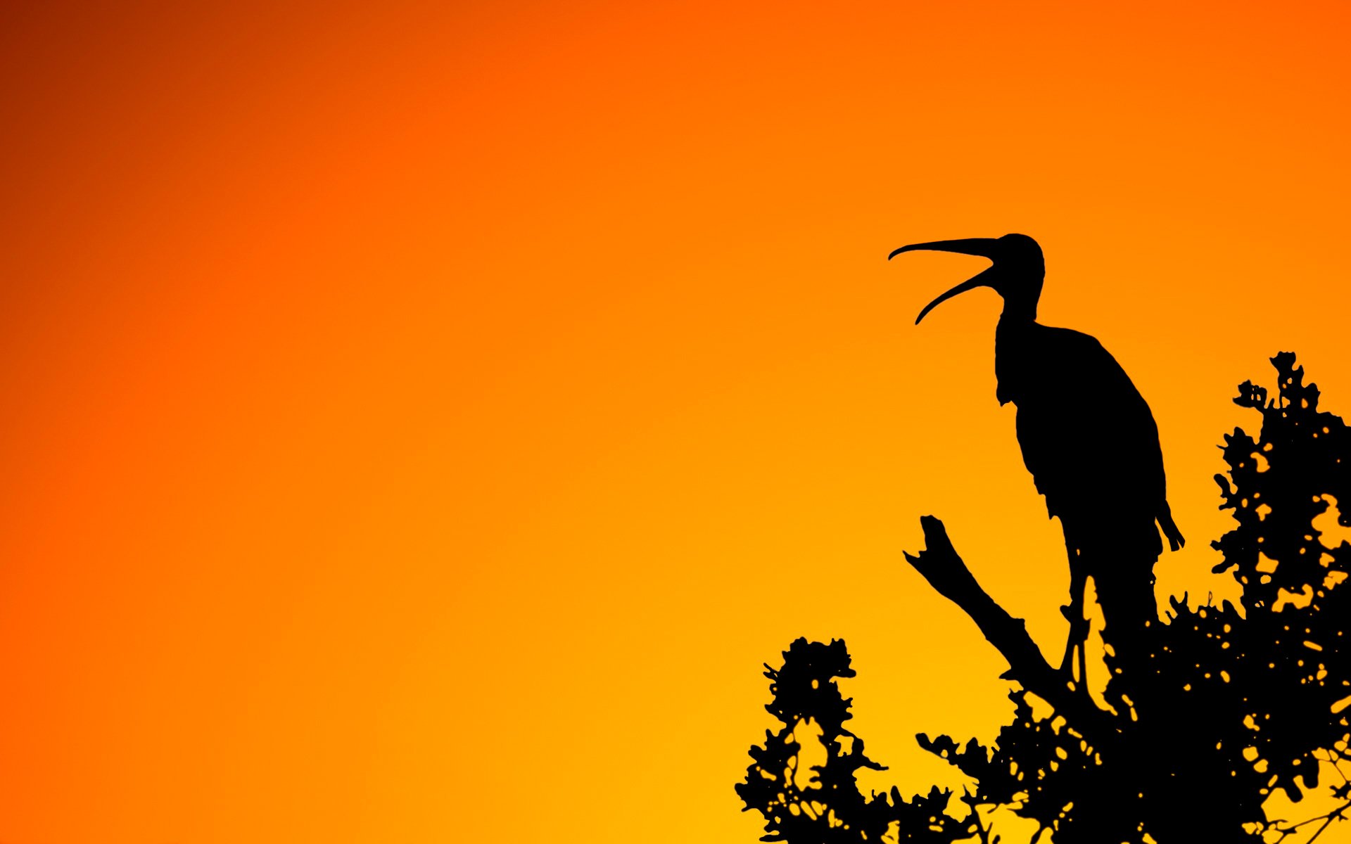 natura luce tramonto uccello ramo silhouette