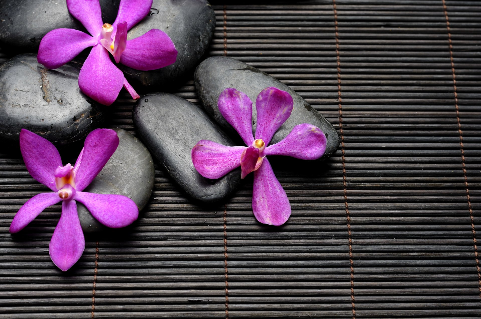 spa zen piedras flores bambú negro púrpura