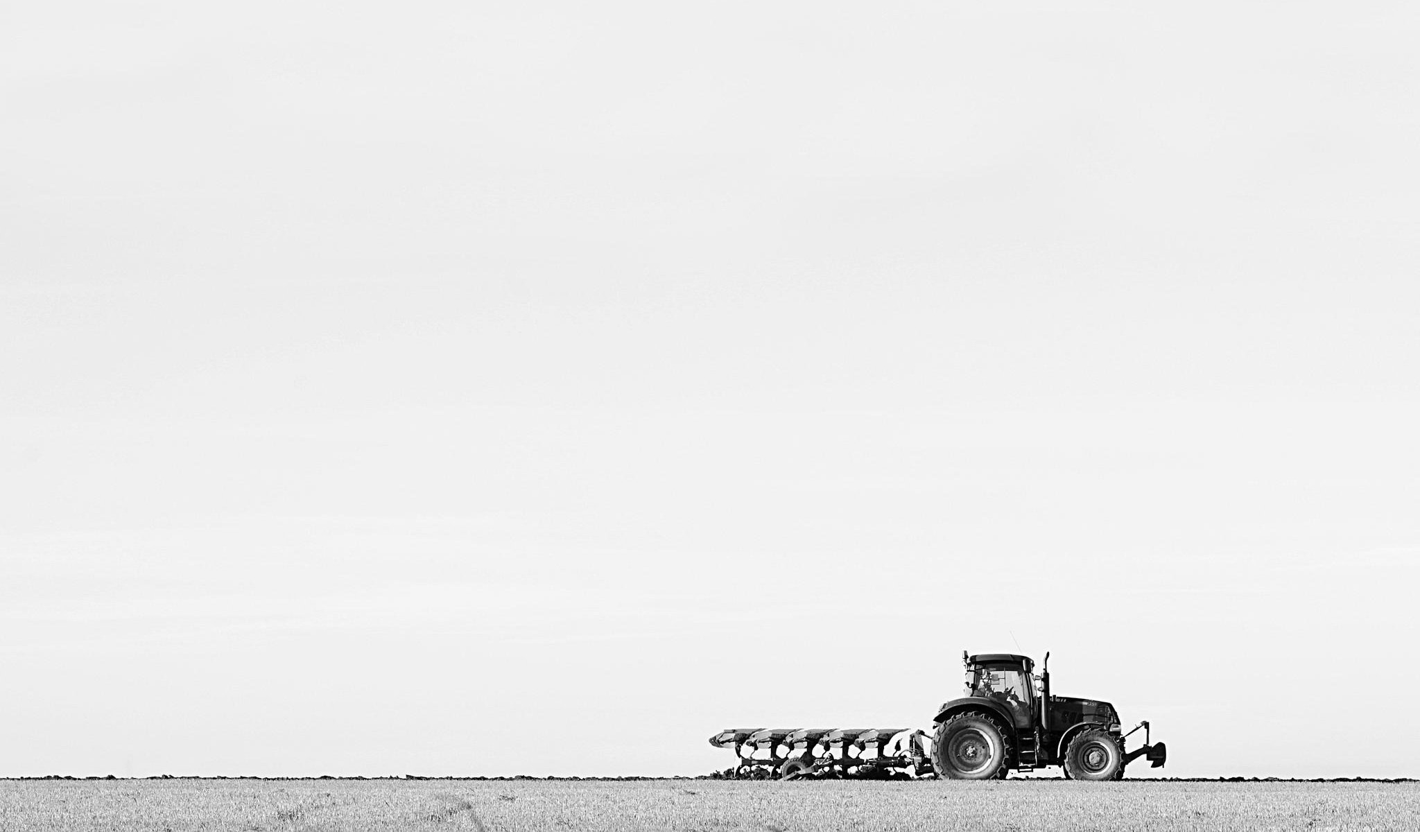 tracteur charrue champ