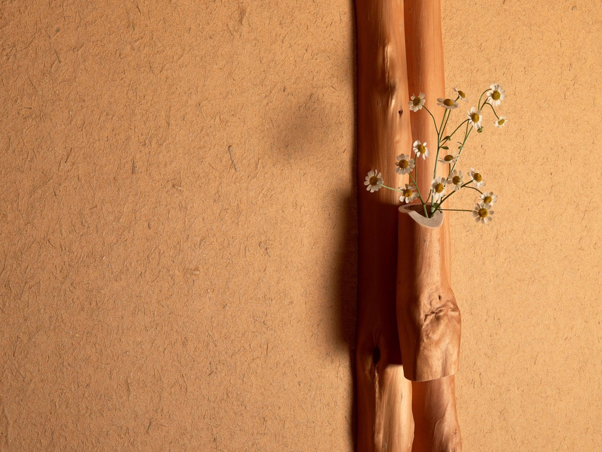 wall plasters tree flower bouquet chamomile light