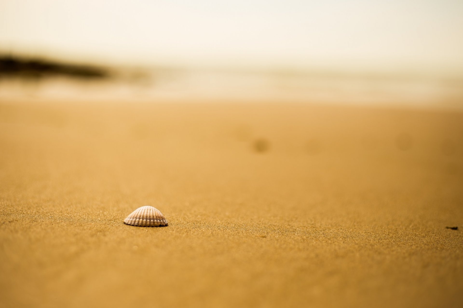 strand sand schale bokeh