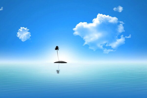 Palm tree on a desert island in the ocean
