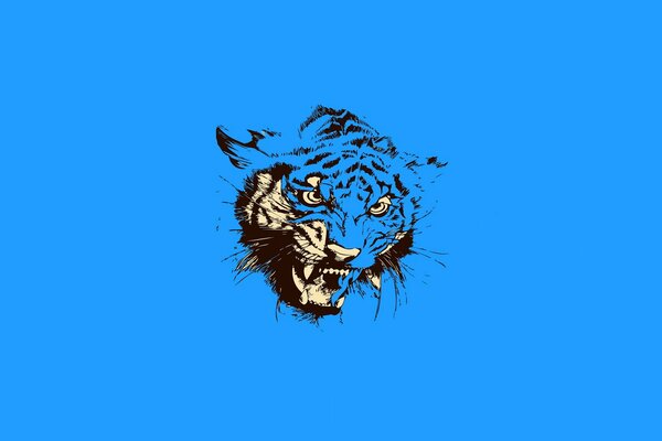 Sourire de tigre sur fond bleu