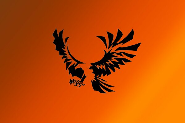 Black eagle on orange background