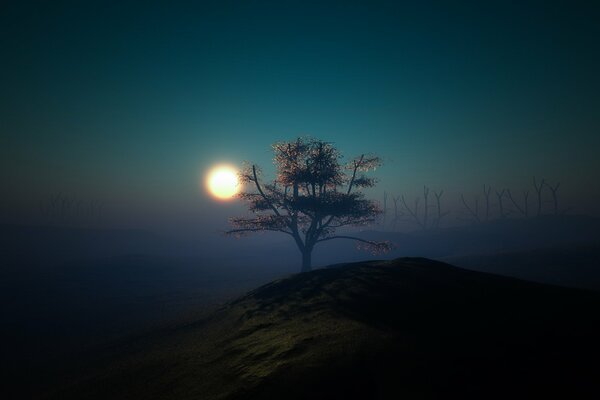 A lonely tree on a hill in the light of the moon