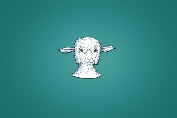 Lamb s head, blue-green background, minimalism