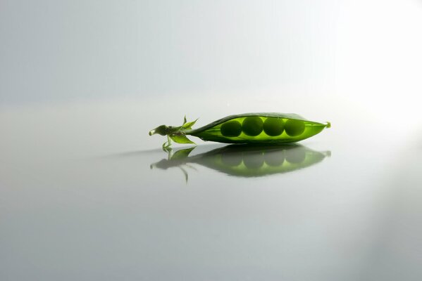 A pod of peas on a gray background