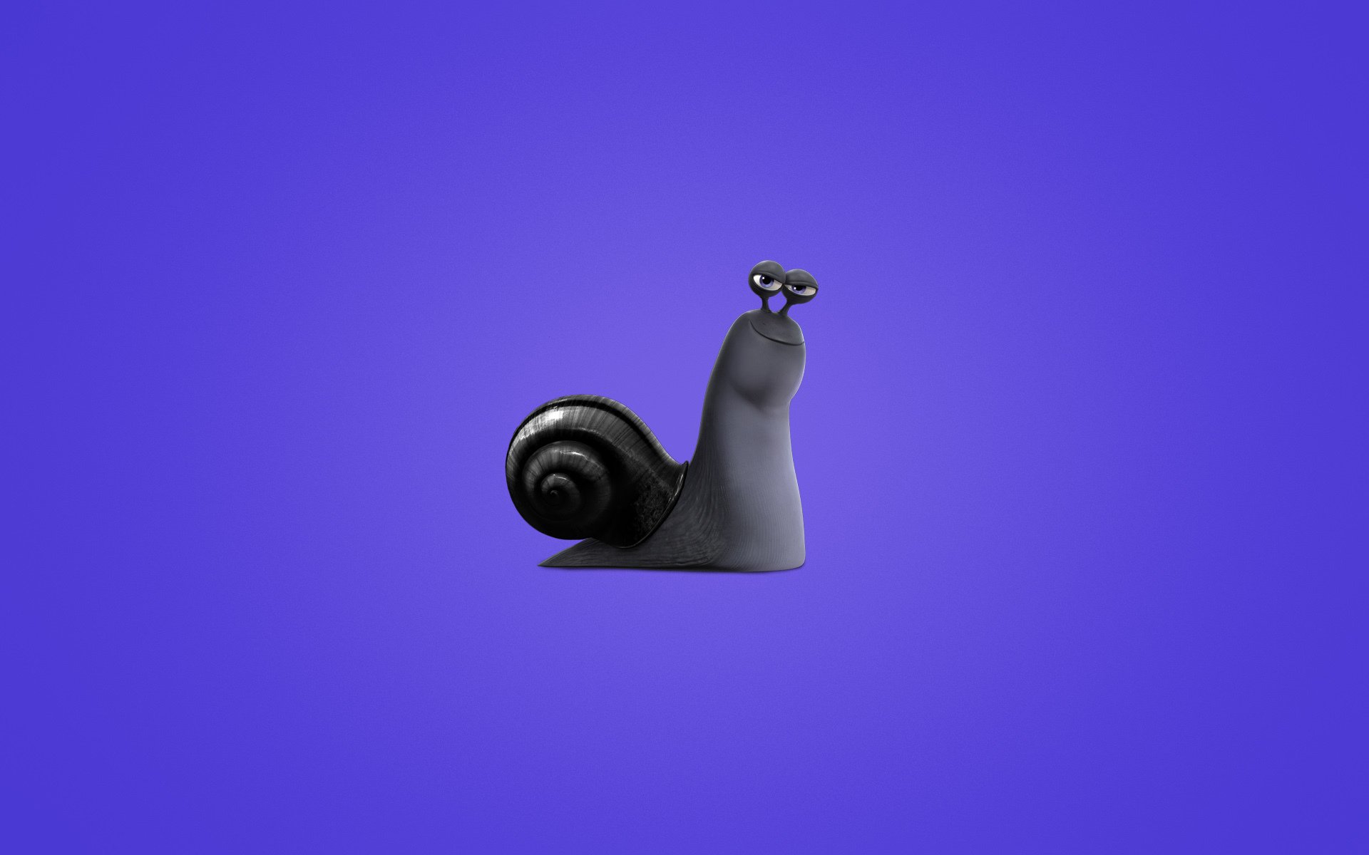 turbo caracol fondo púrpura minimalismo