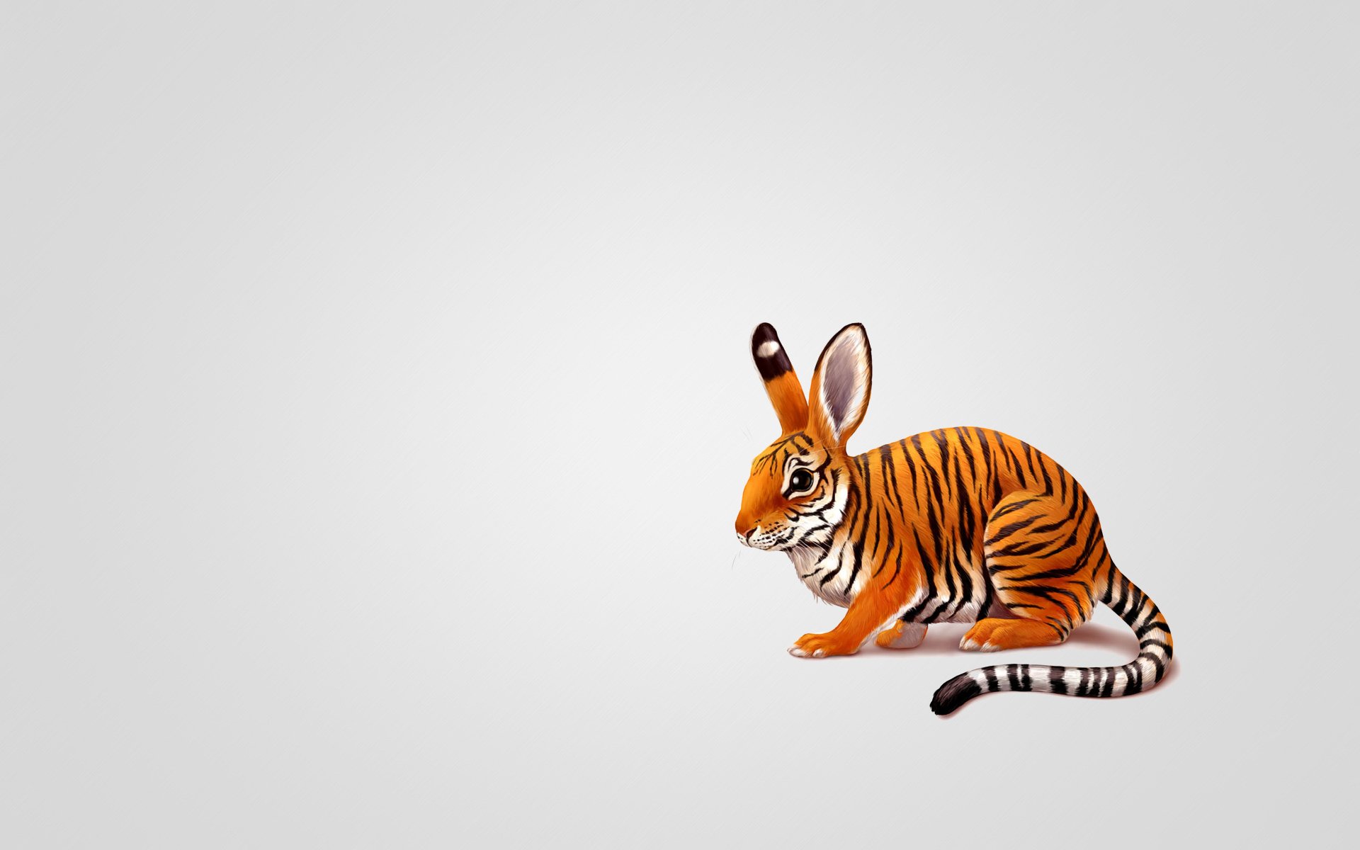 rabbit hare tiger colour tailed animals minimalism