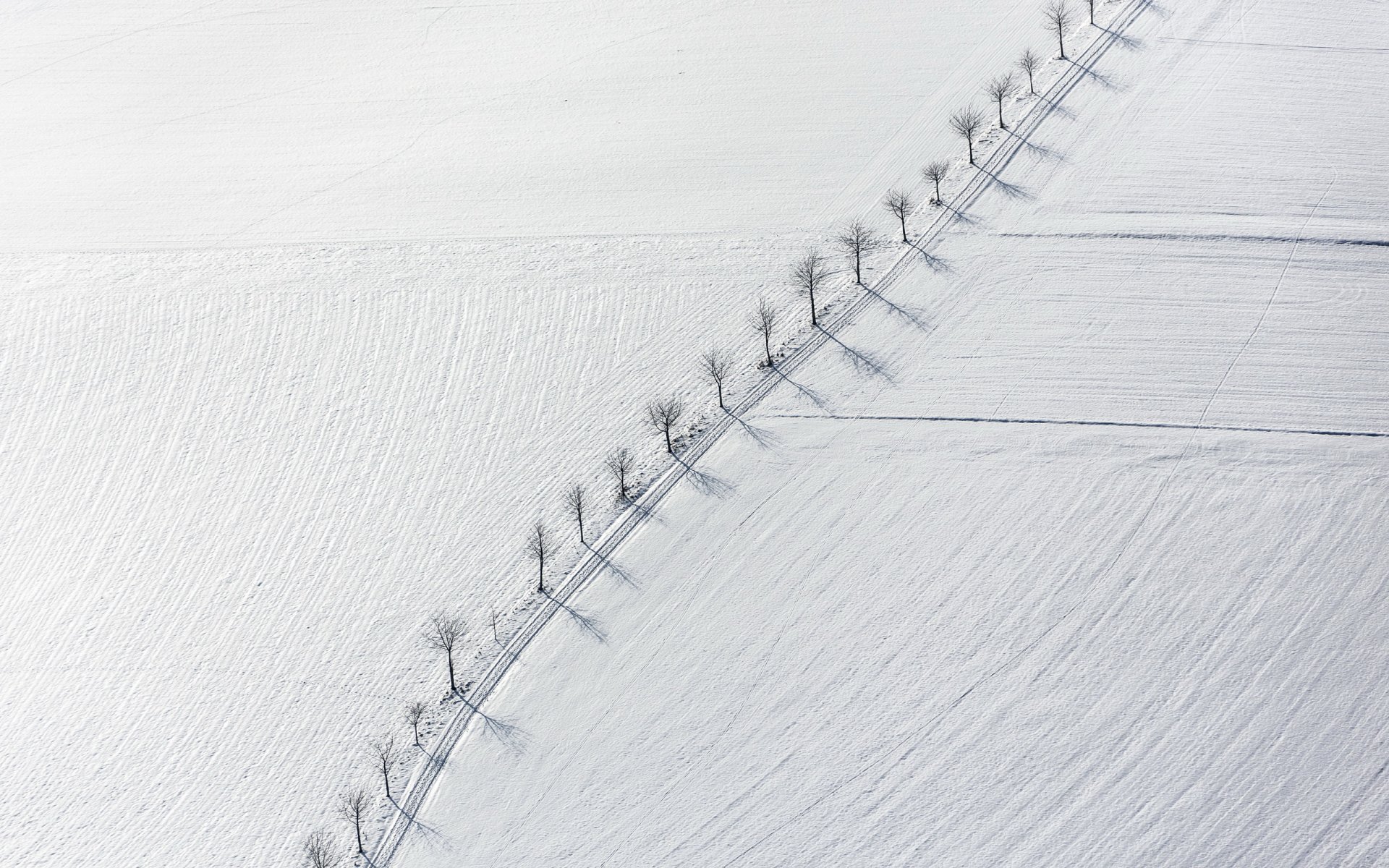 feld bäume schnee landschaft minimalismus