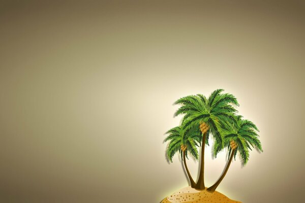 Palm trees and sand on a light background