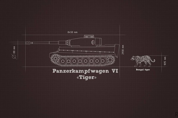 Confronto tra un carro armato tedesco Tiger e una vera tigre