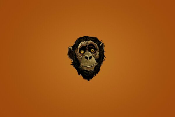 Monkey s head on a bright background