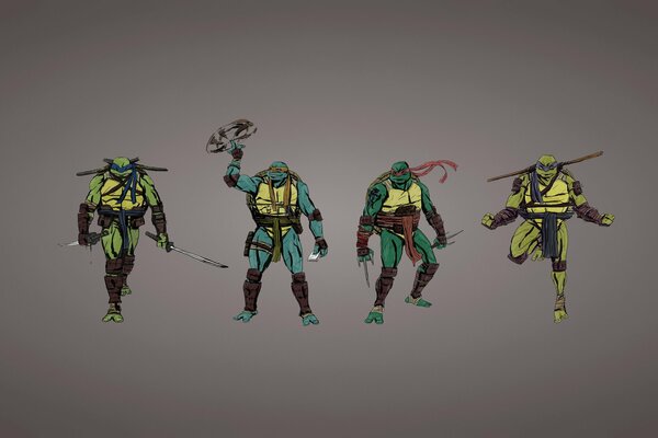 Teenage Mutant Ninja Turtles . rafael, leonardo, michelangelo, donatello