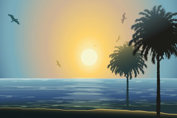 Paysage de coucher de soleil sur l île