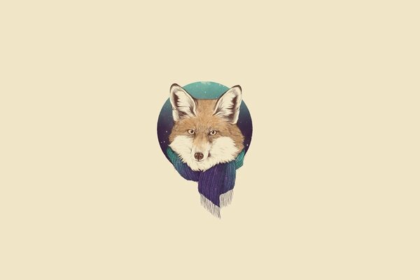 Vector drawing of a fox in a scarf