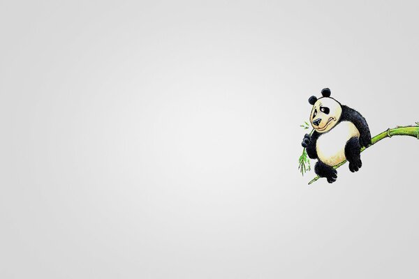 Panda en una rama sobre un fondo blanco en el estilo de minimalismo