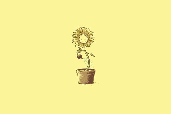 Tournesol arrose lui-même heureux