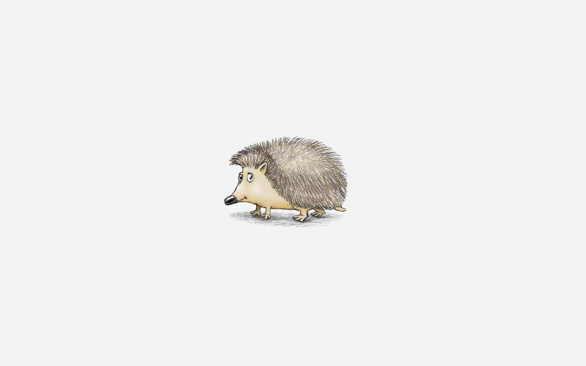 igel igel weißer hintergrund minimalismus