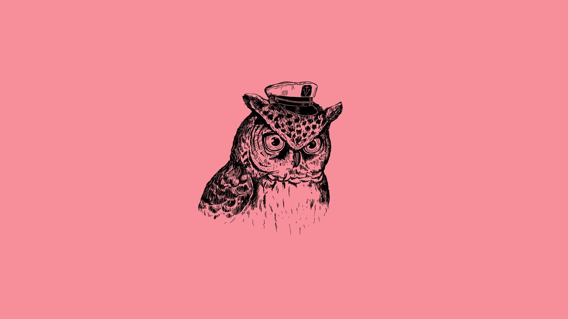 alejandro giraldo captain owl captain filin art print minimalism poultry