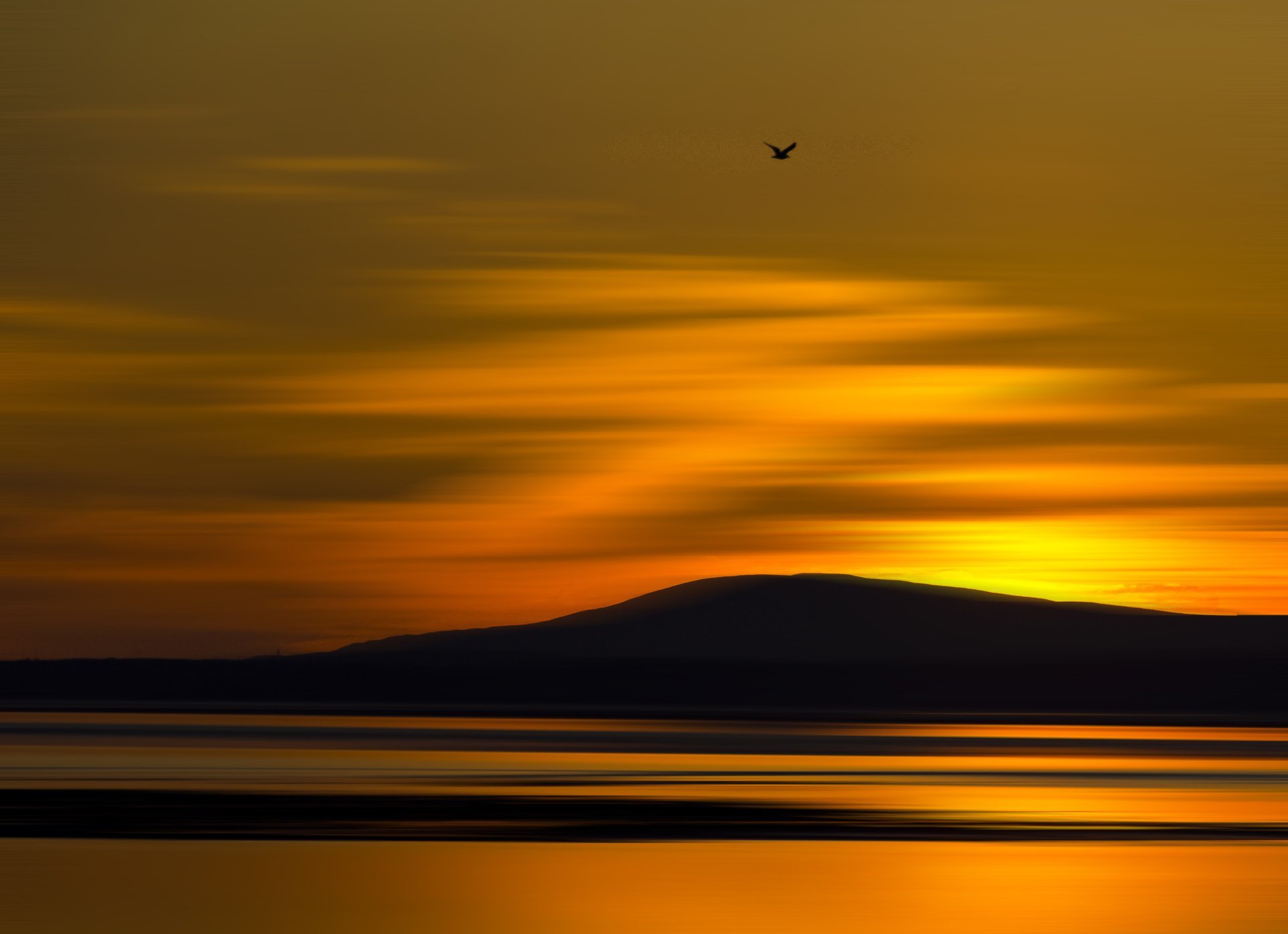 natur sonnenuntergang meer hügel berg vogel fliegen