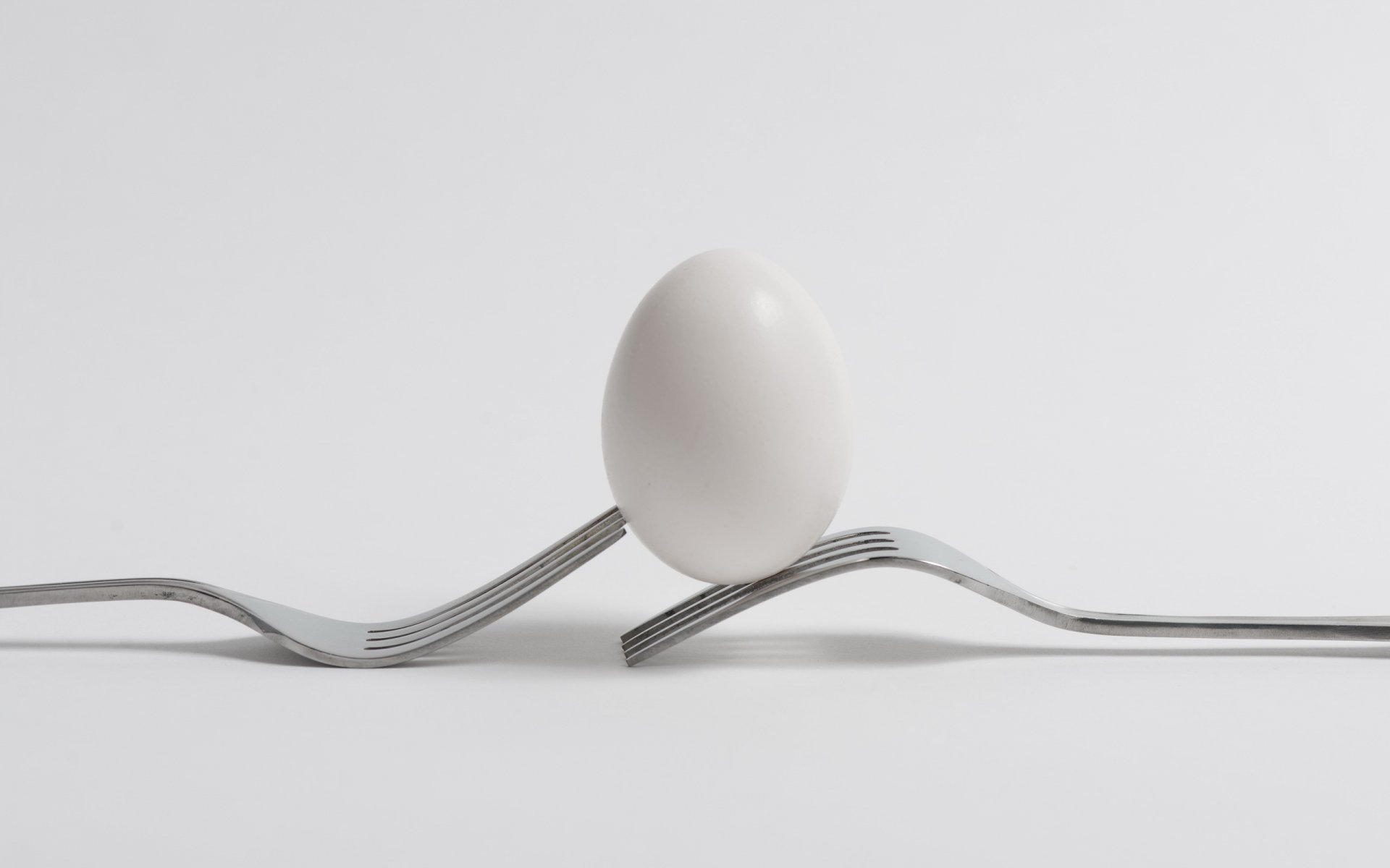 plug egg minimalism