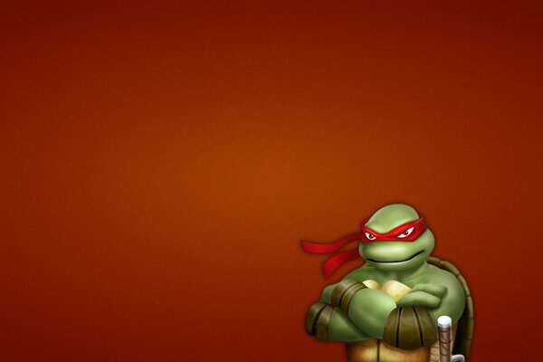 Alle bekannten Ninja Turtles