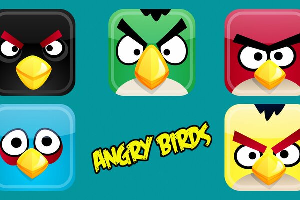 Birdie icone angry birds su sfondo turchese