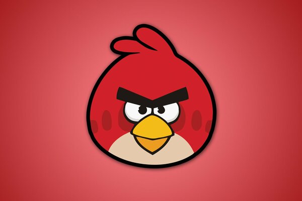 Angry birds rouge Angry Birds sur fond rouge