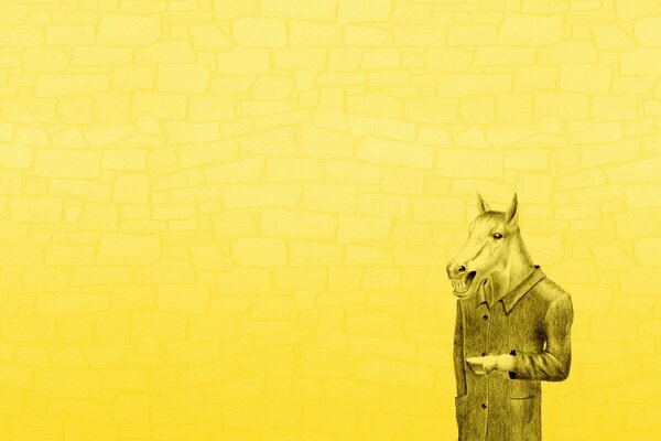 A horse in a coat on a yellow background