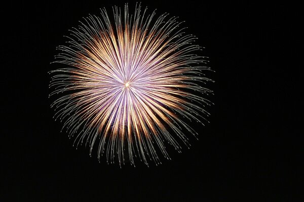 Feuerwerk von lila nach Rot auf schwarzem Hintergrund