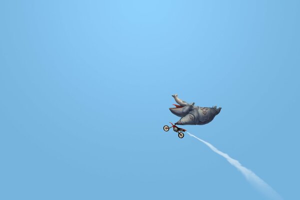 Un rhinocéros satisfait sur un Motocycle en vol