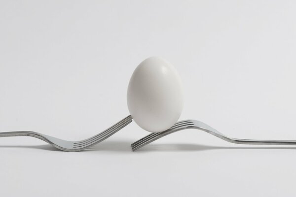 Dans un œuf, il peut y avoir de la vie et de la nourriture
